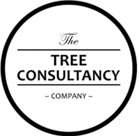 Tree Consultancy